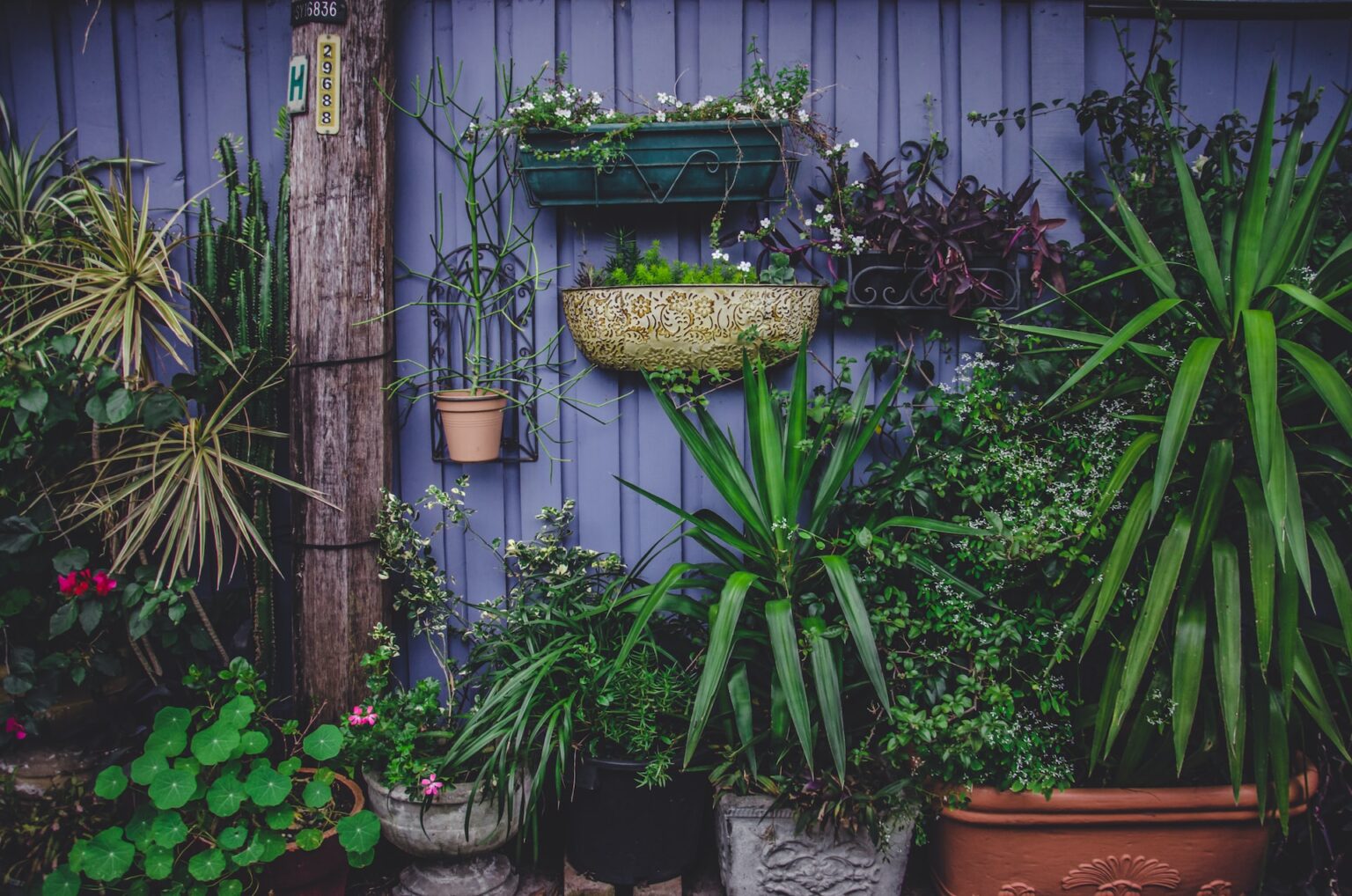 Image showcasing 7 Tips for Apartment Gardening in Limited Space – Small Space Love